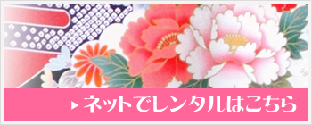 ネットでレンタルはこちら